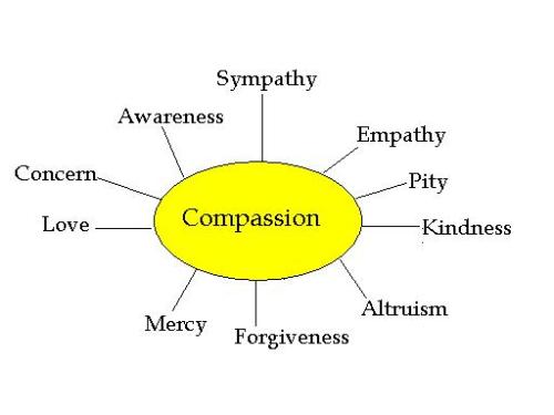 Brainstorming on Compassion